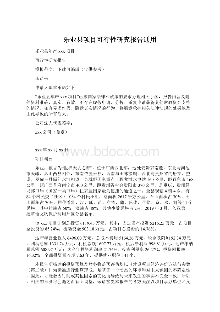 乐业县项目可行性研究报告通用.docx