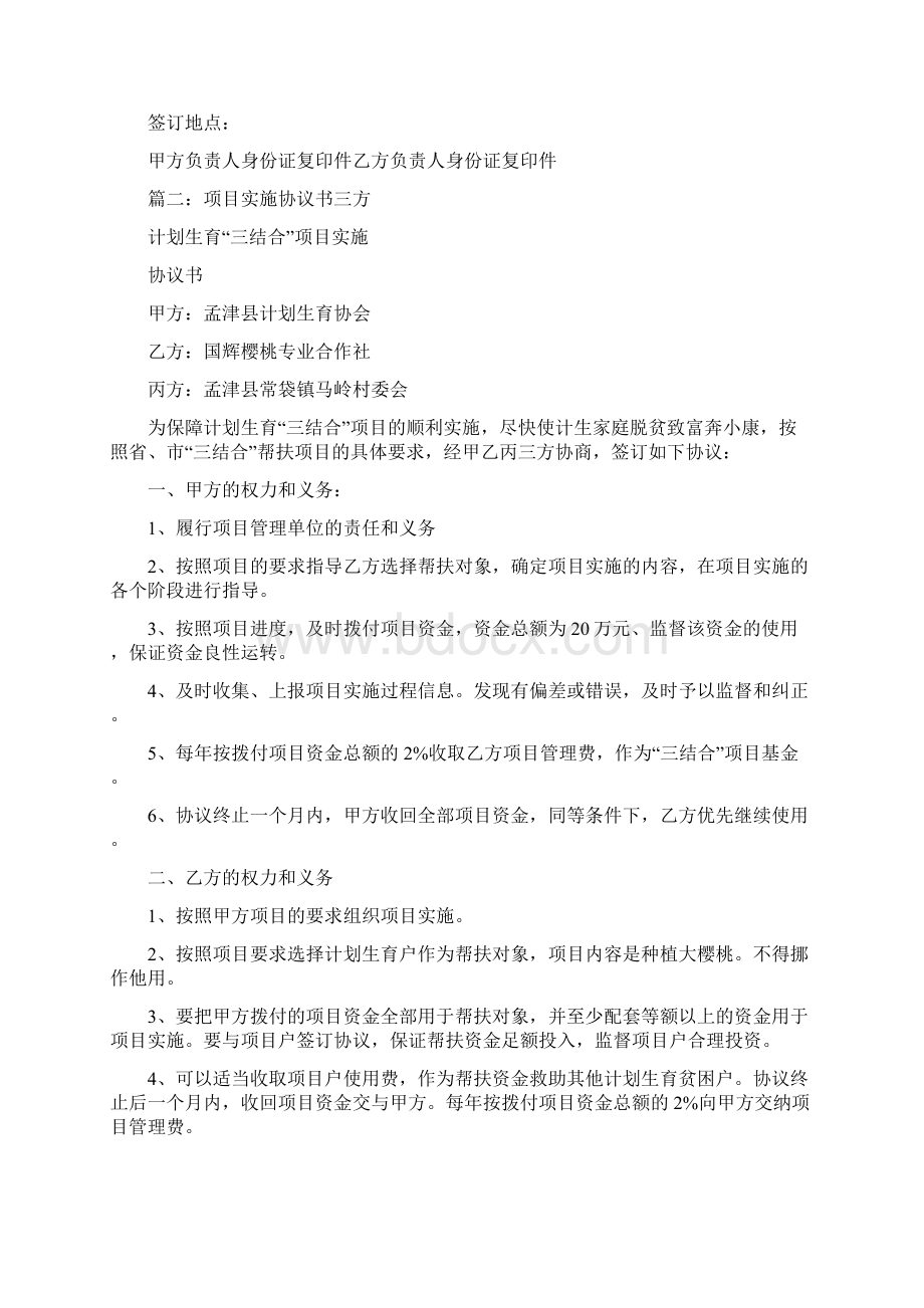 项目实施协议书文档格式.docx_第2页