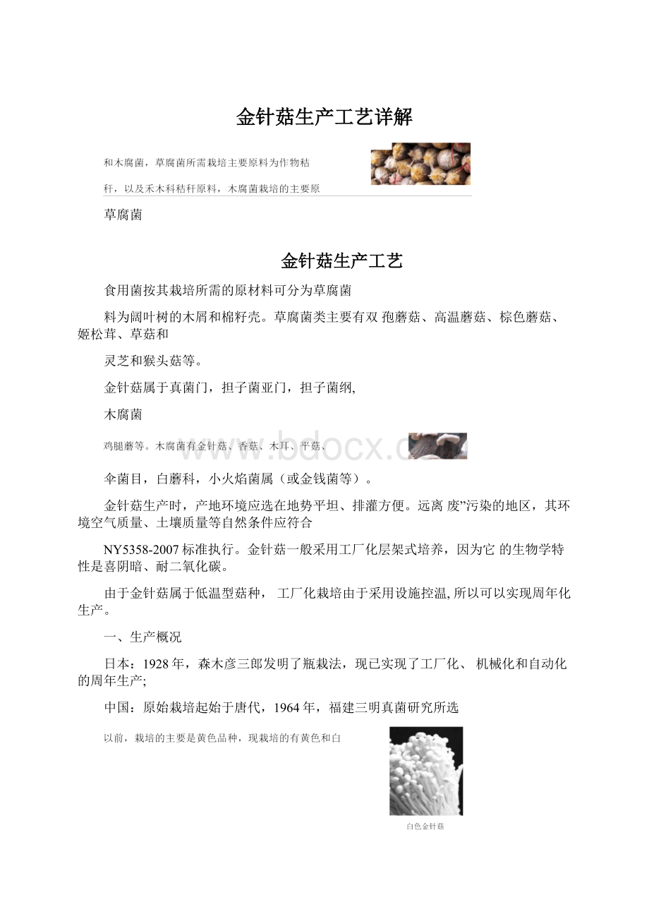 金针菇生产工艺详解Word格式文档下载.docx_第1页