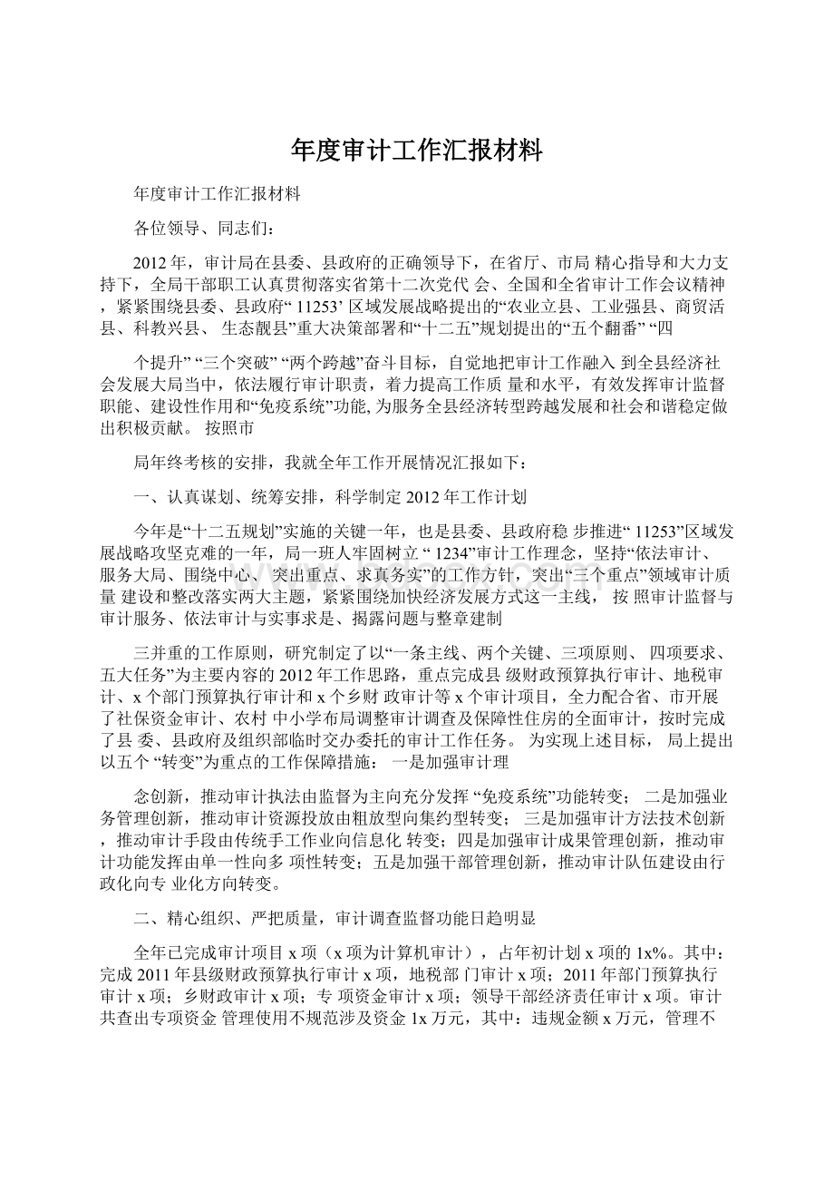 年度审计工作汇报材料.docx