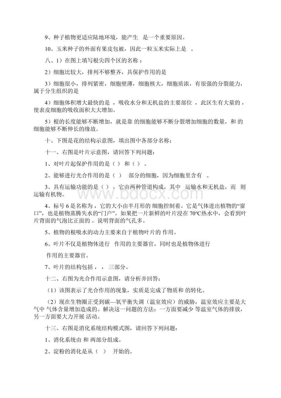 初中生物识图实验和答案Word下载.docx_第3页