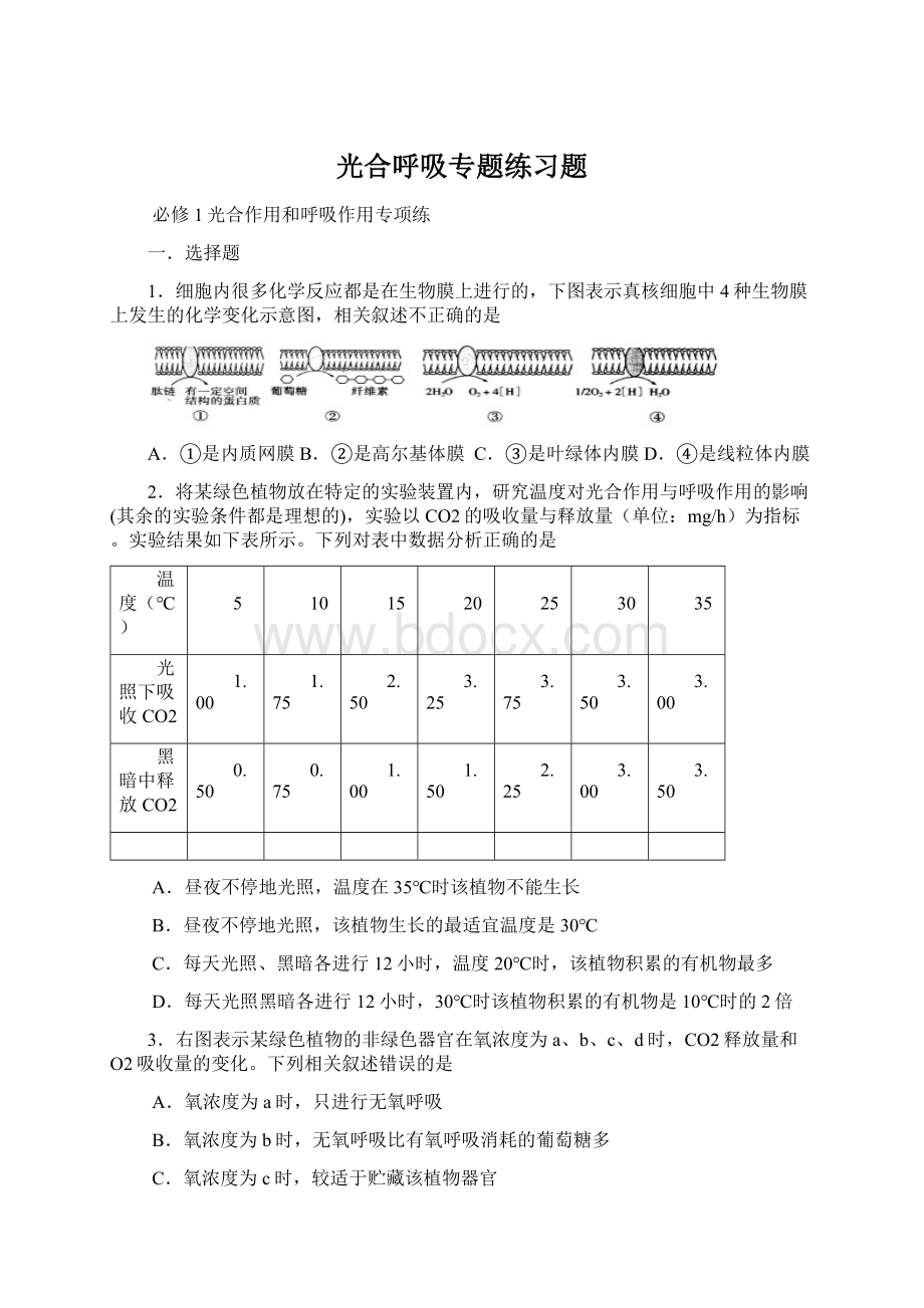 光合呼吸专题练习题Word下载.docx_第1页