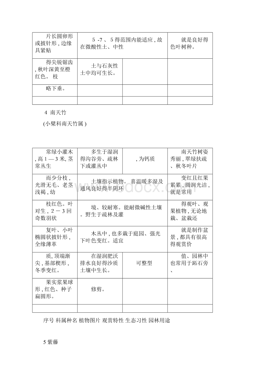 杭州常见园林植物80种.docx_第3页