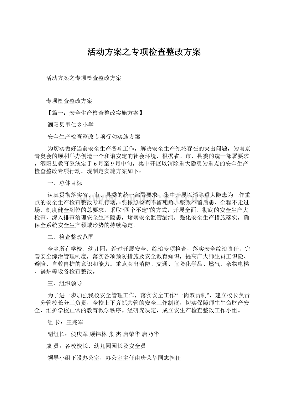 活动方案之专项检查整改方案文档格式.docx_第1页