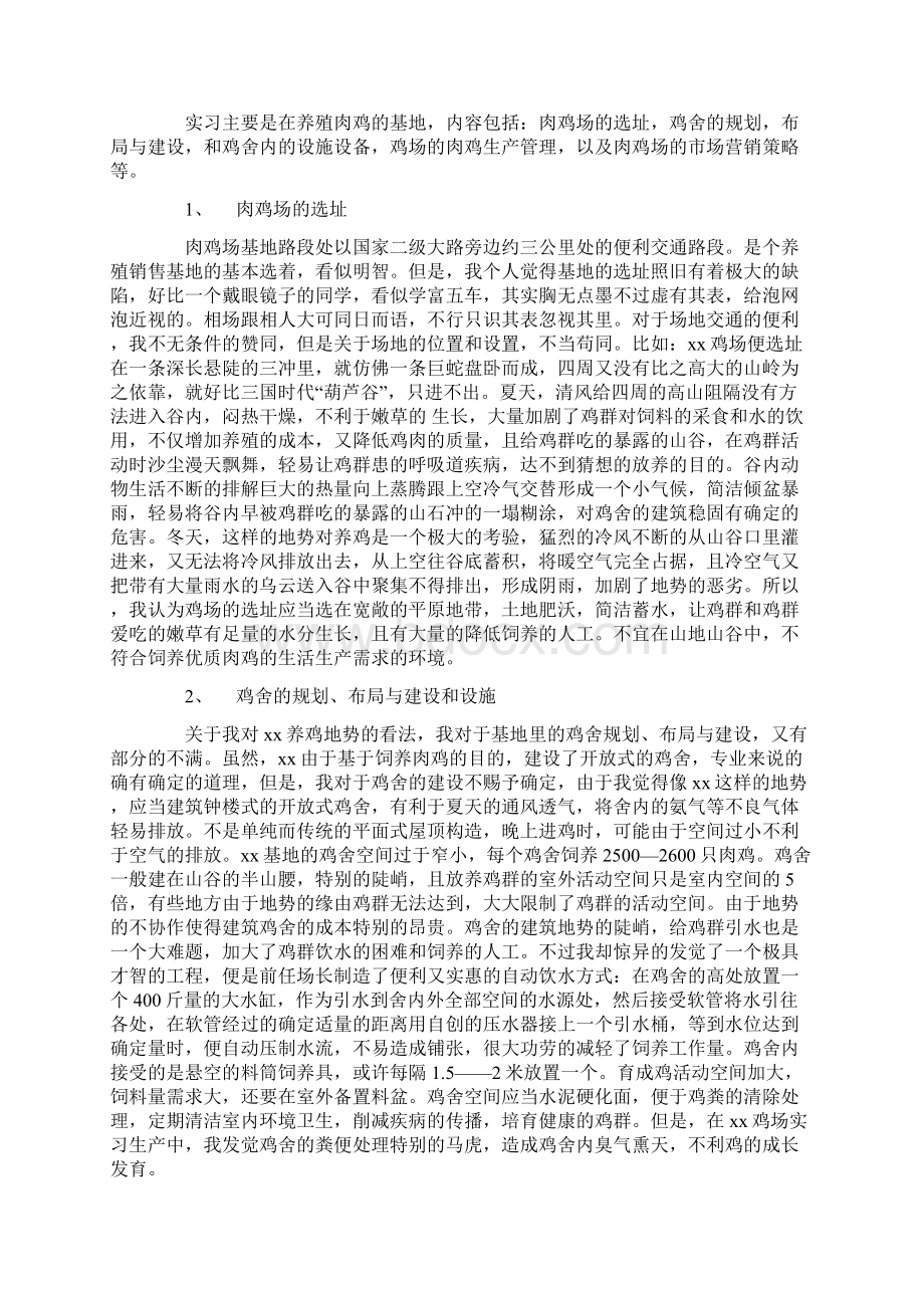 肉鸡实习报告3篇.docx_第2页