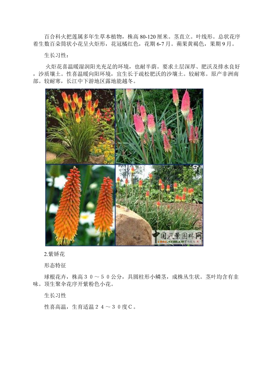 花境植物大全.docx_第2页