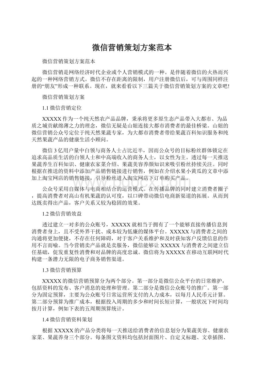 微信营销策划方案范本文档格式.docx