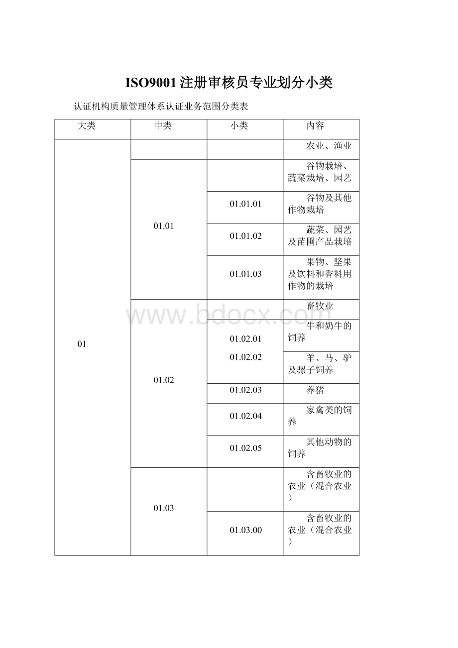 ISO9001注册审核员专业划分小类.docx