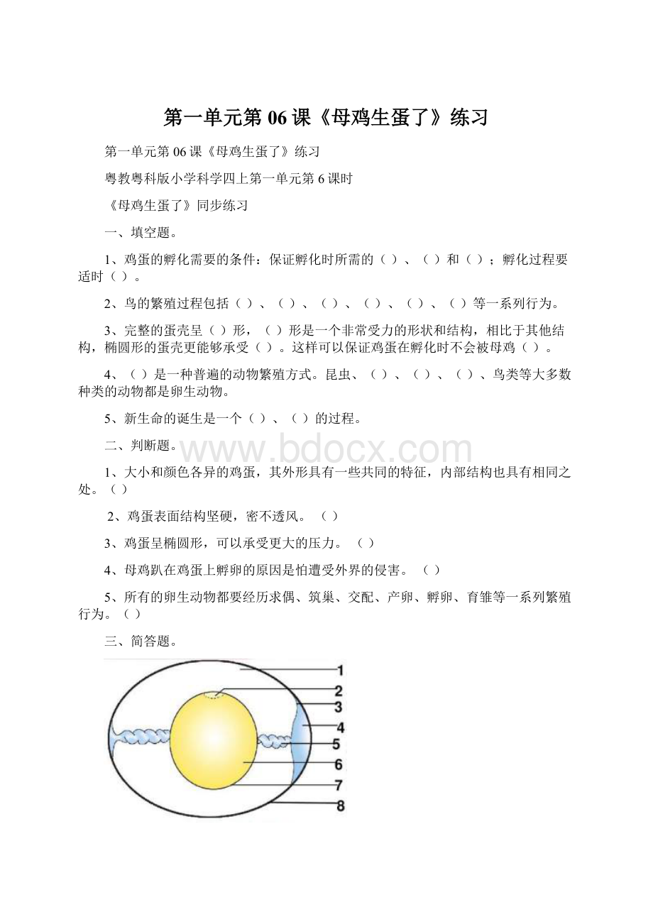 第一单元第06课《母鸡生蛋了》练习文档格式.docx_第1页