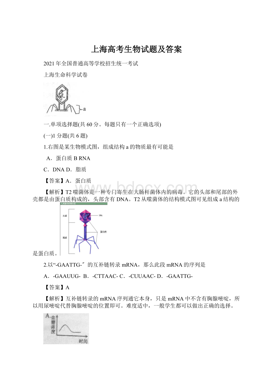 上海高考生物试题及答案Word文档下载推荐.docx