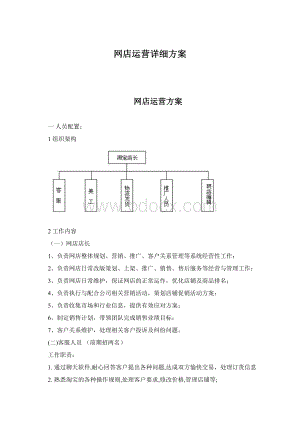 网店运营详细方案.docx