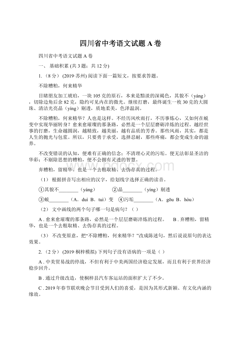 四川省中考语文试题A卷.docx