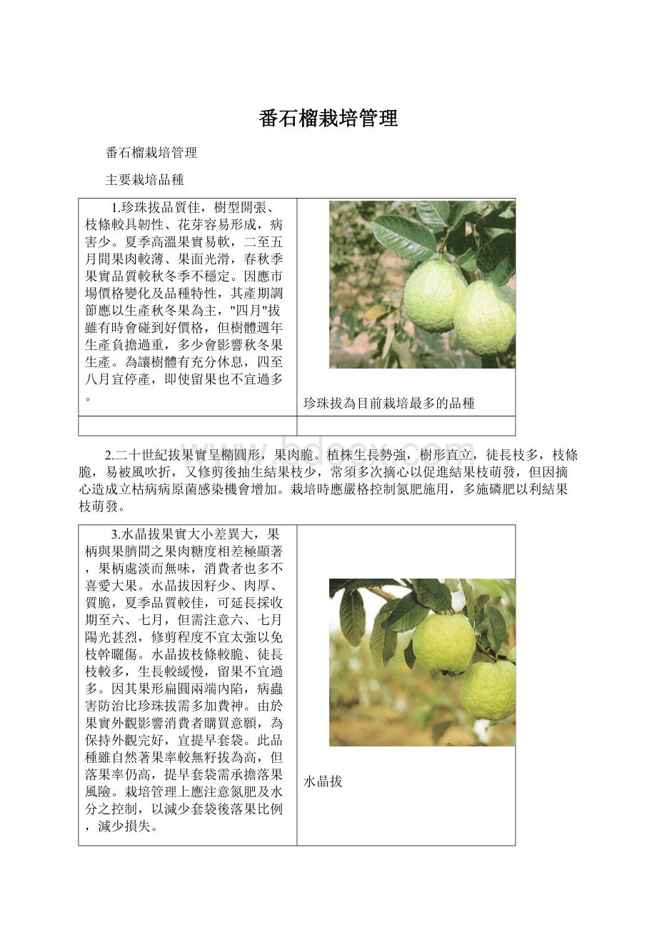 番石榴栽培管理文档格式.docx_第1页