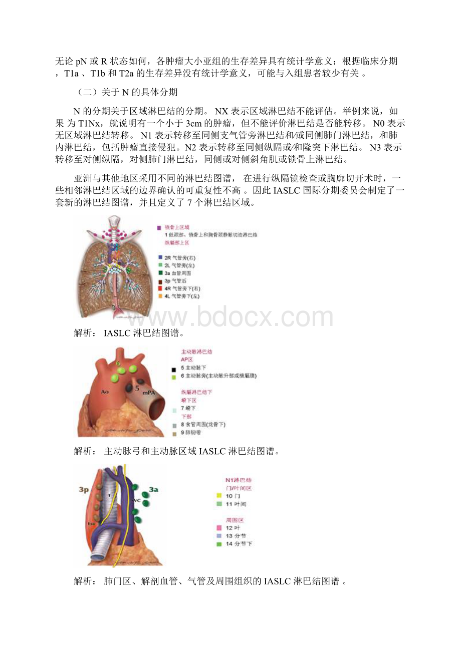 肺癌分期及预后Word下载.docx_第2页