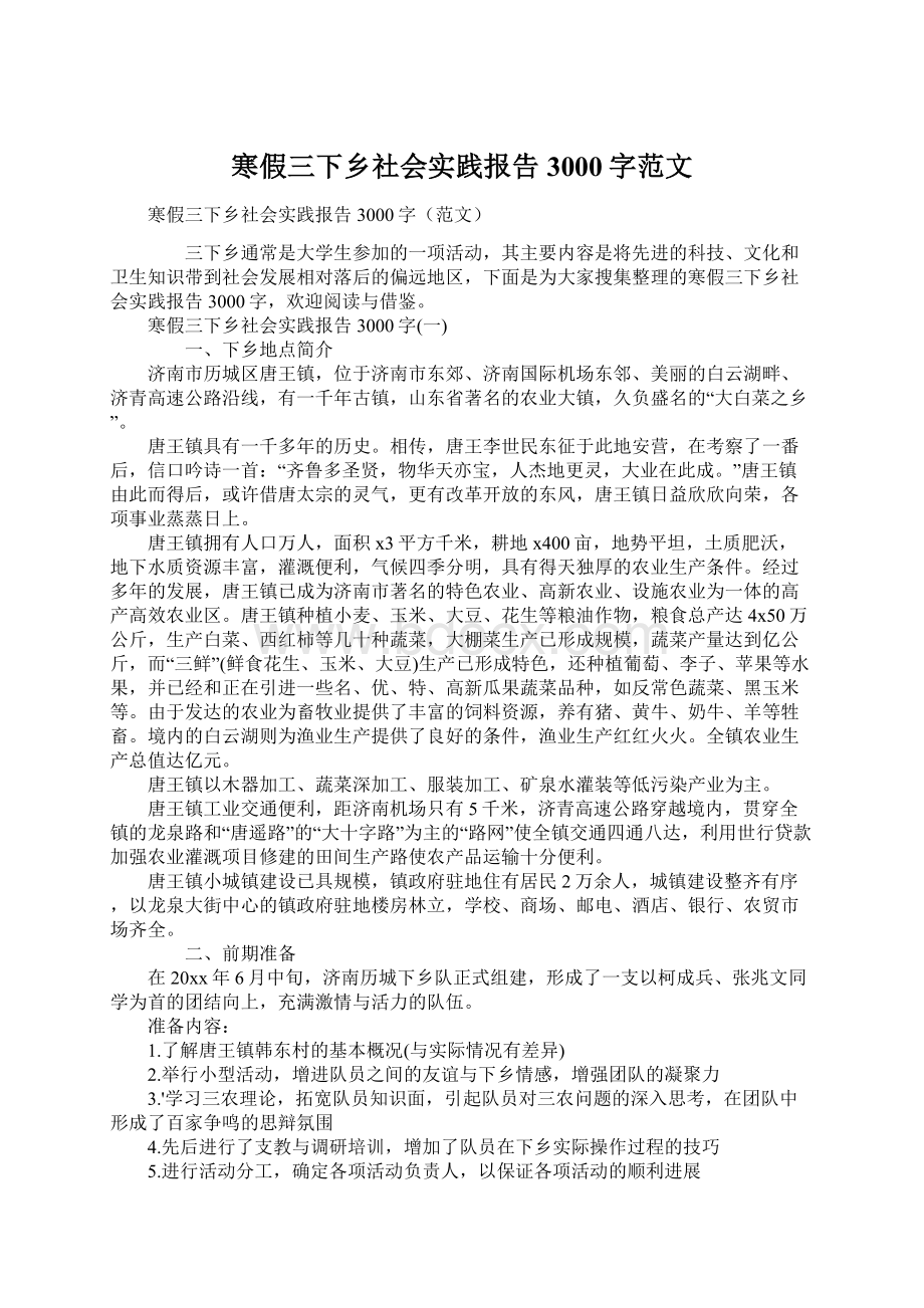 寒假三下乡社会实践报告3000字范文Word格式文档下载.docx