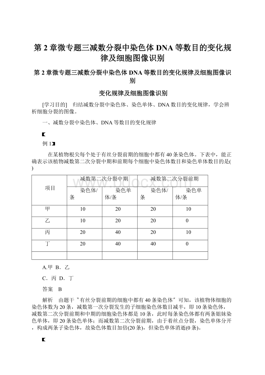 第2章微专题三减数分裂中染色体DNA等数目的变化规律及细胞图像识别.docx