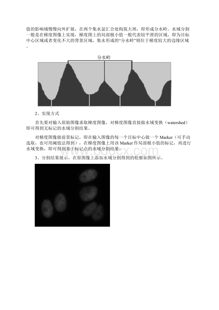 水域分割实验报告.docx_第3页