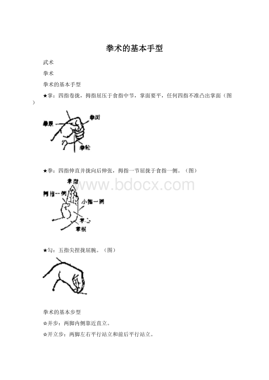 拳术的基本手型Word文档格式.docx_第1页