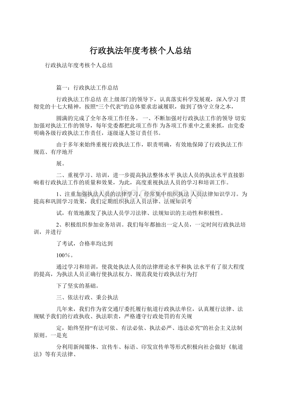 行政执法年度考核个人总结文档格式.docx