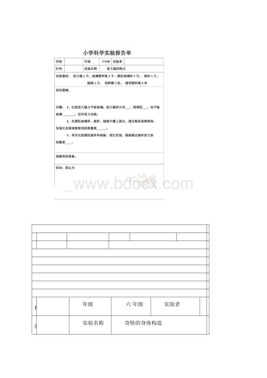 科教版六年级下册科学实验报告单.docx_第2页