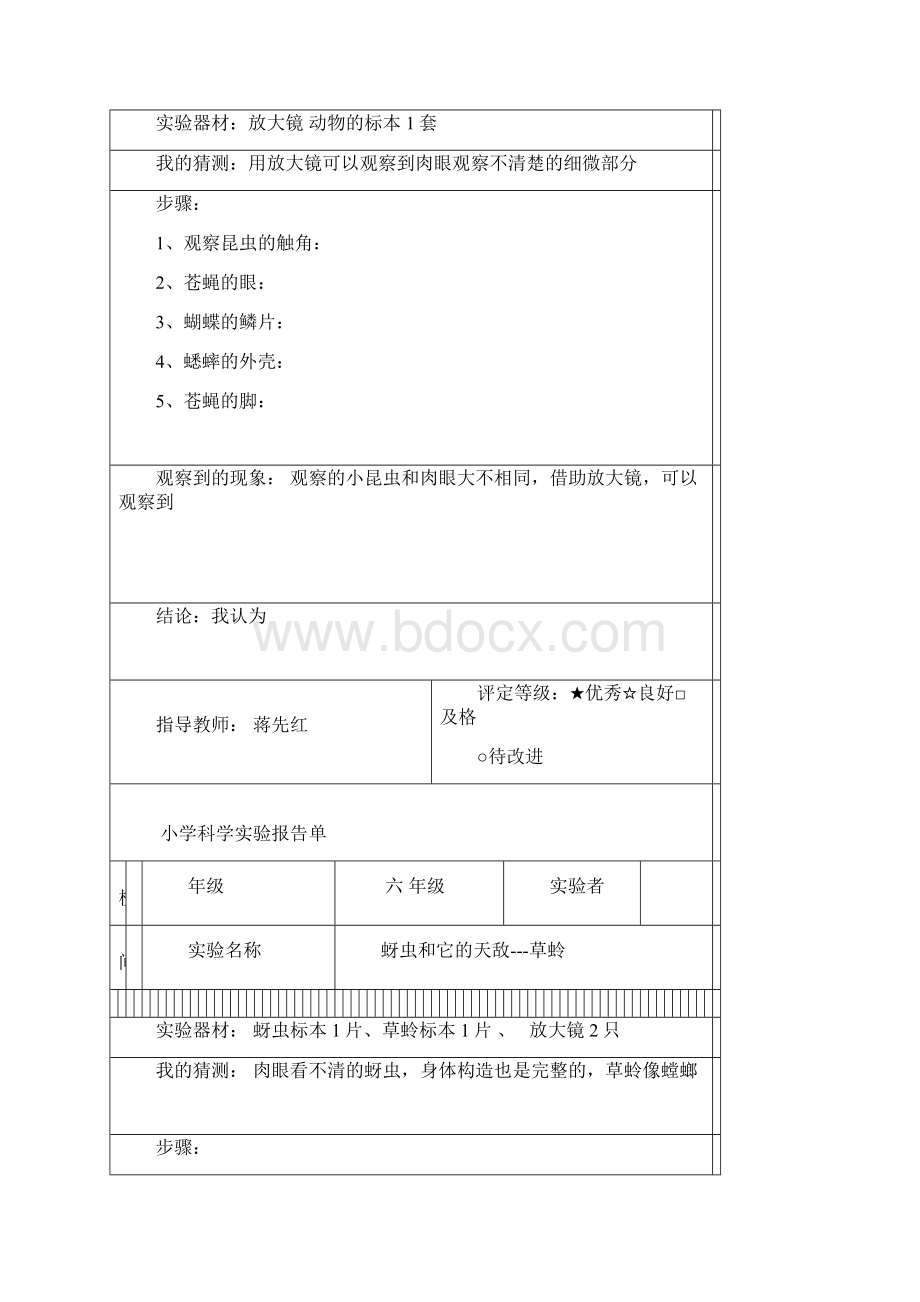 科教版六年级下册科学实验报告单.docx_第3页