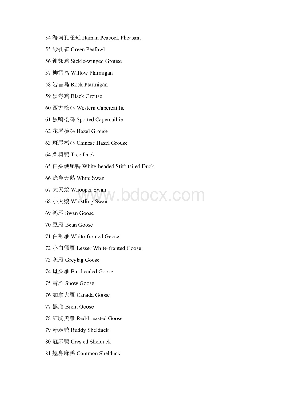 最新一千多种鸟类英文名称文档格式.docx_第3页