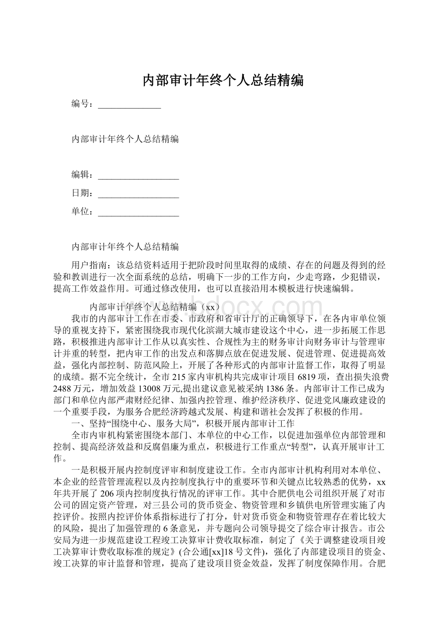 内部审计年终个人总结精编Word下载.docx