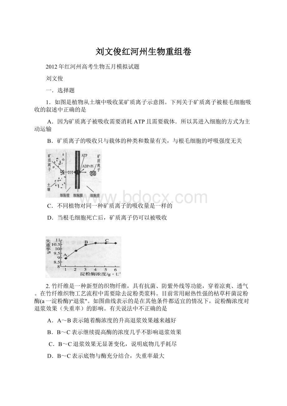 刘文俊红河州生物重组卷Word下载.docx_第1页