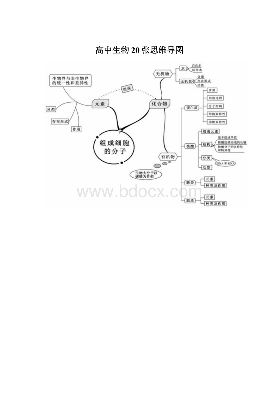 高中生物20张思维导图.docx_第1页