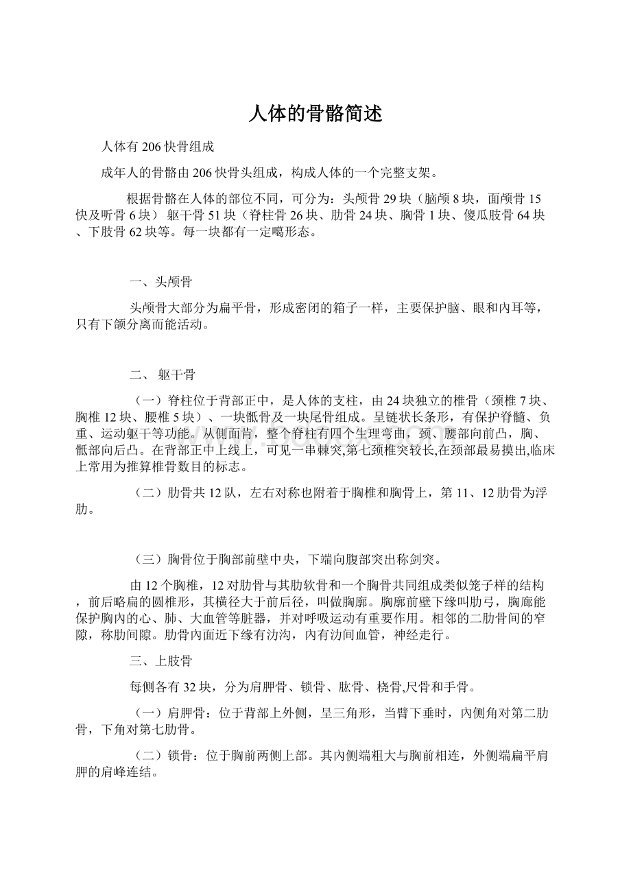 人体的骨骼简述Word格式文档下载.docx