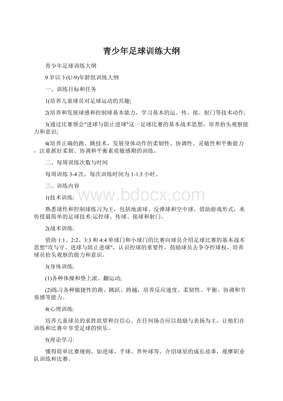 青少年足球训练大纲Word文档下载推荐.docx_第1页