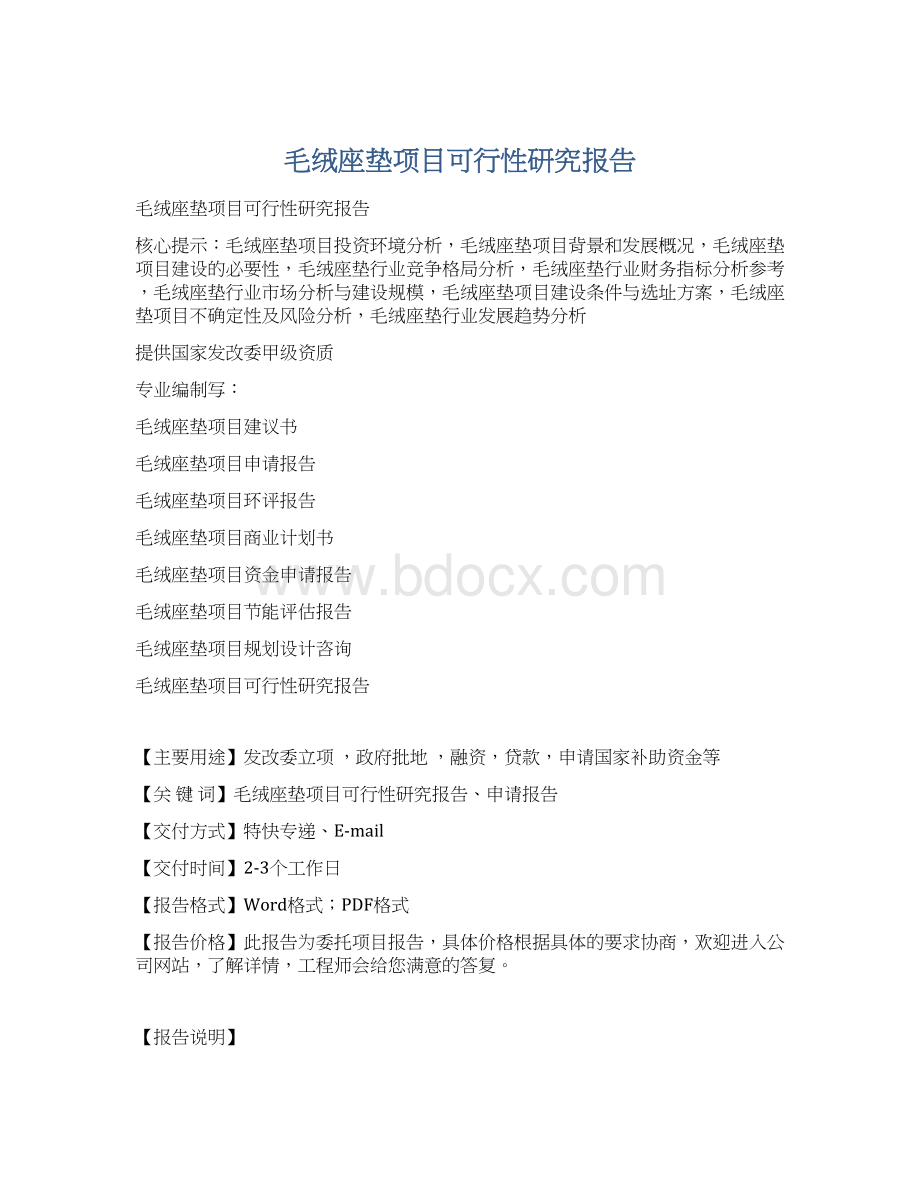 毛绒座垫项目可行性研究报告Word格式.docx_第1页