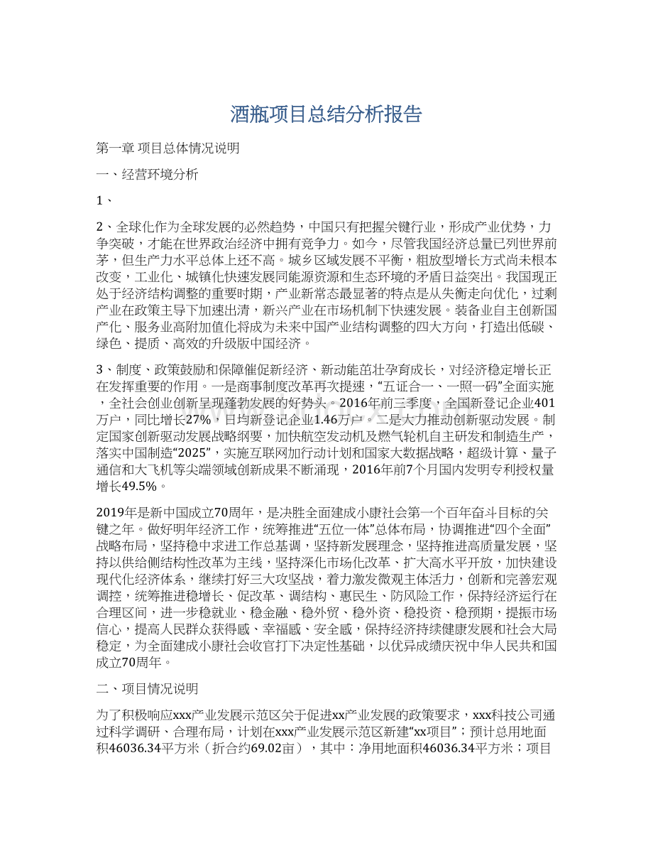 酒瓶项目总结分析报告.docx_第1页