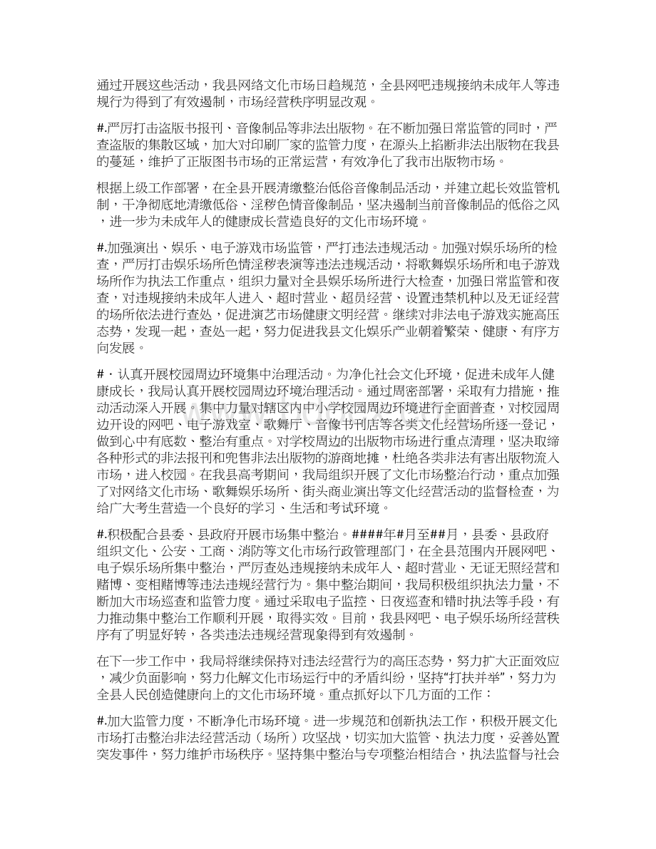 文化市场管理工作调研报告.docx_第2页