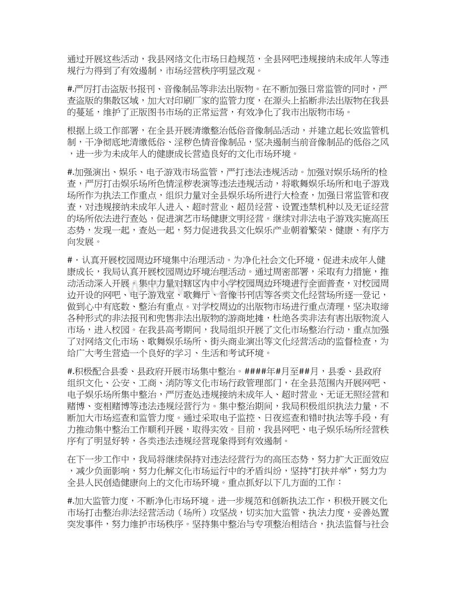 文化市场管理工作调研报告Word格式.docx_第2页