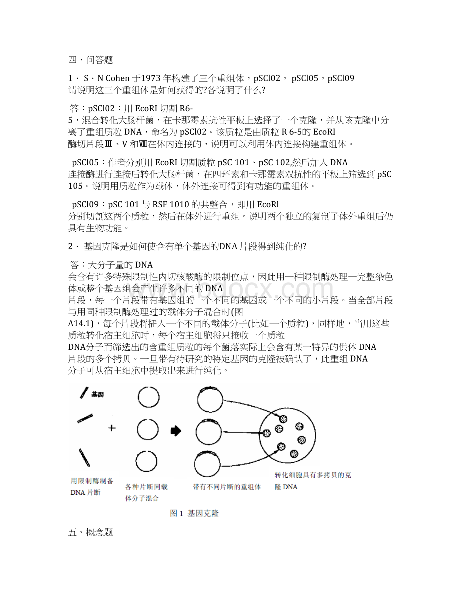 基因工程题库及答案汇编.docx_第3页