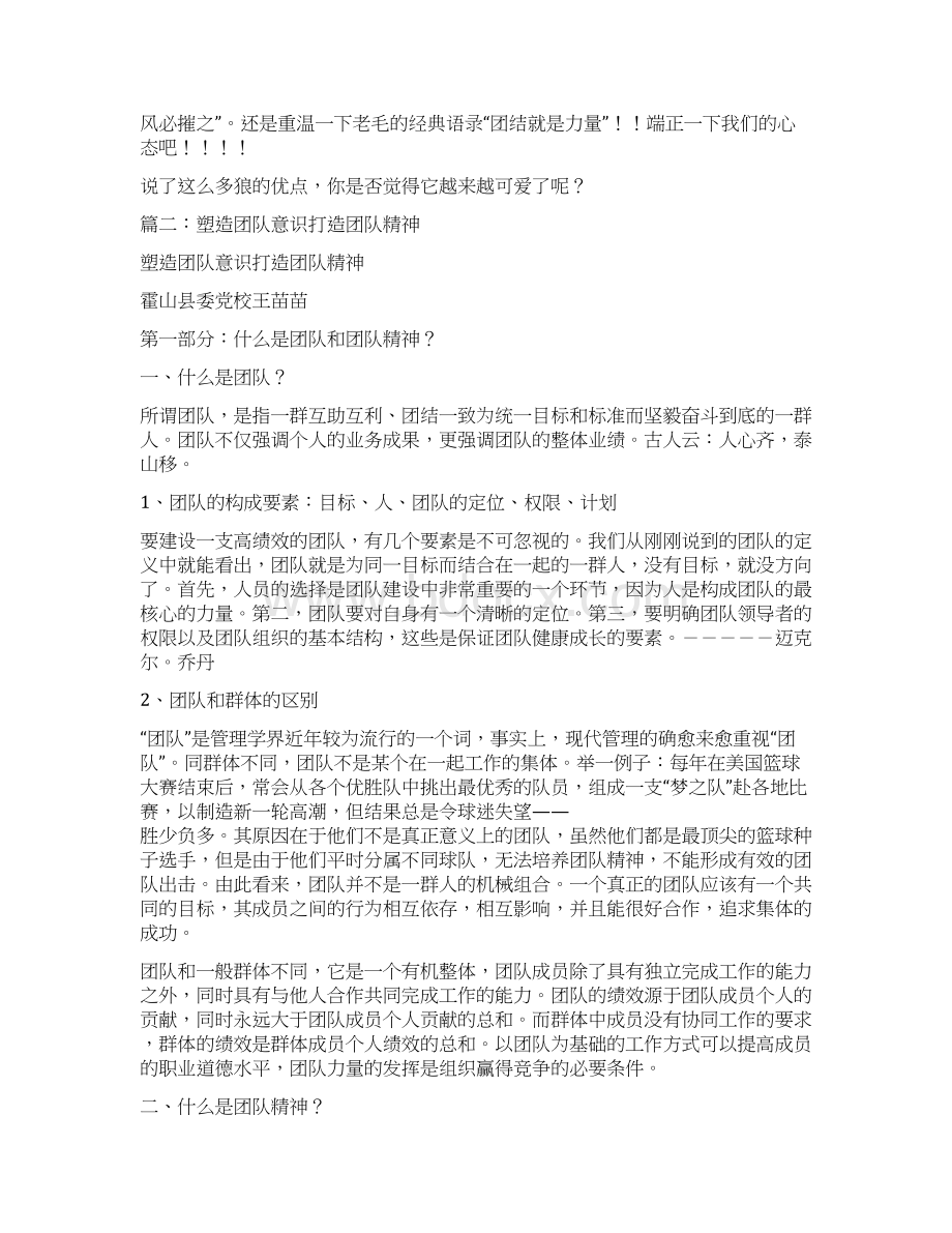 图腾团队.docx_第2页