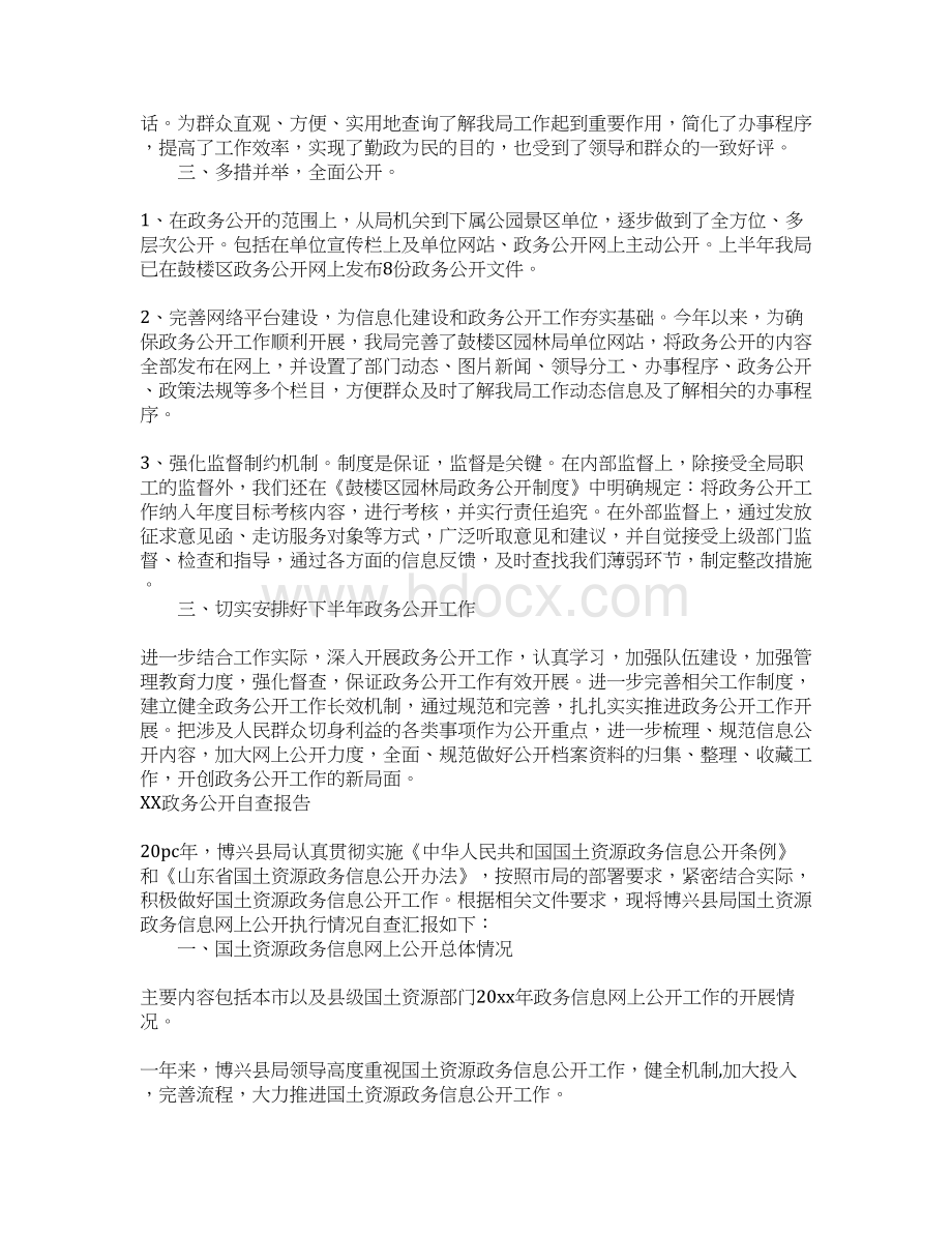 政务公开自查报告.docx_第2页