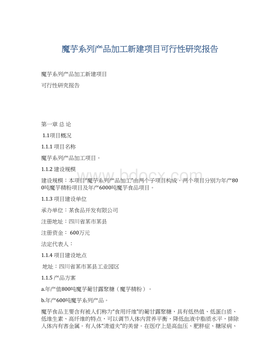 魔芋系列产品加工新建项目可行性研究报告.docx_第1页