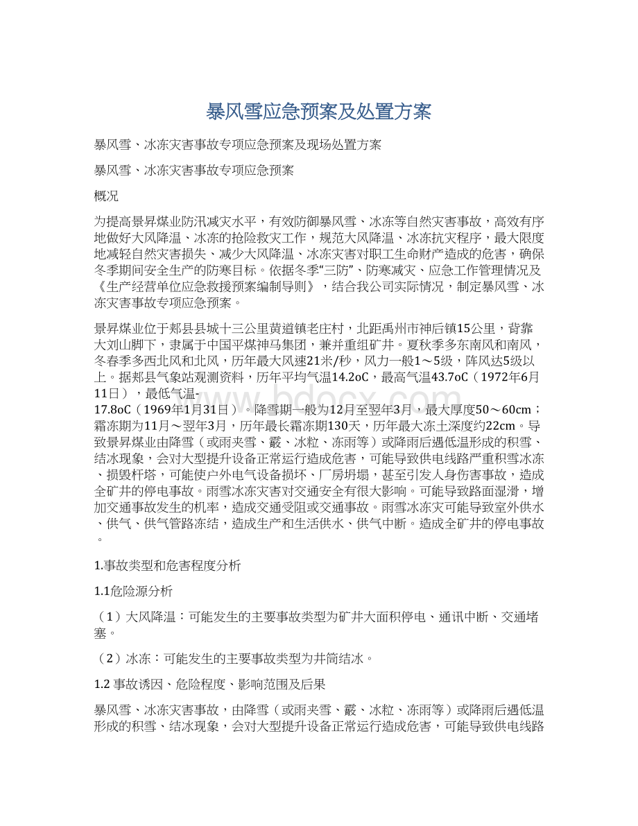 暴风雪应急预案及处置方案Word文档格式.docx_第1页