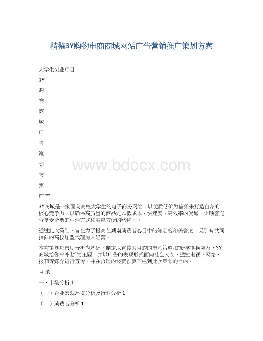 精撰3Y购物电商商城网站广告营销推广策划方案.docx