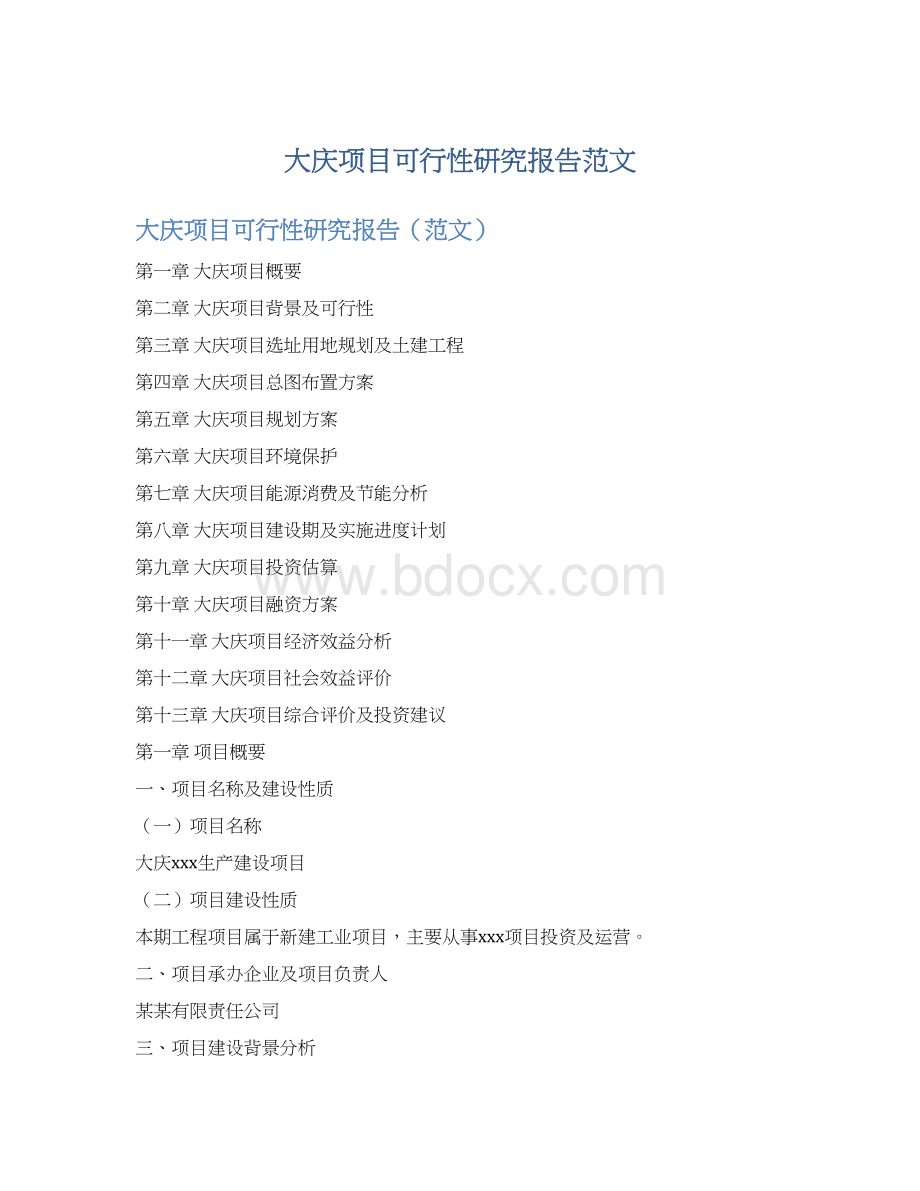 大庆项目可行性研究报告范文.docx