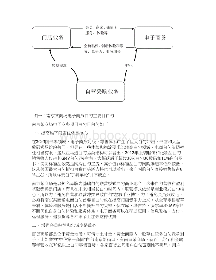 XX大型购物商场中心电子商务平台战略项目规划建议书.docx_第2页