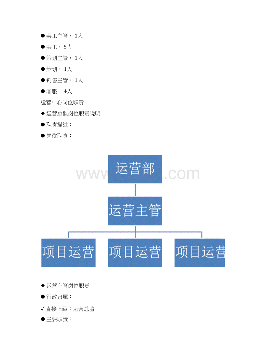 互联网淘宝天猫电商企业运营中心组织架构及岗位职责表Word格式文档下载.docx_第3页