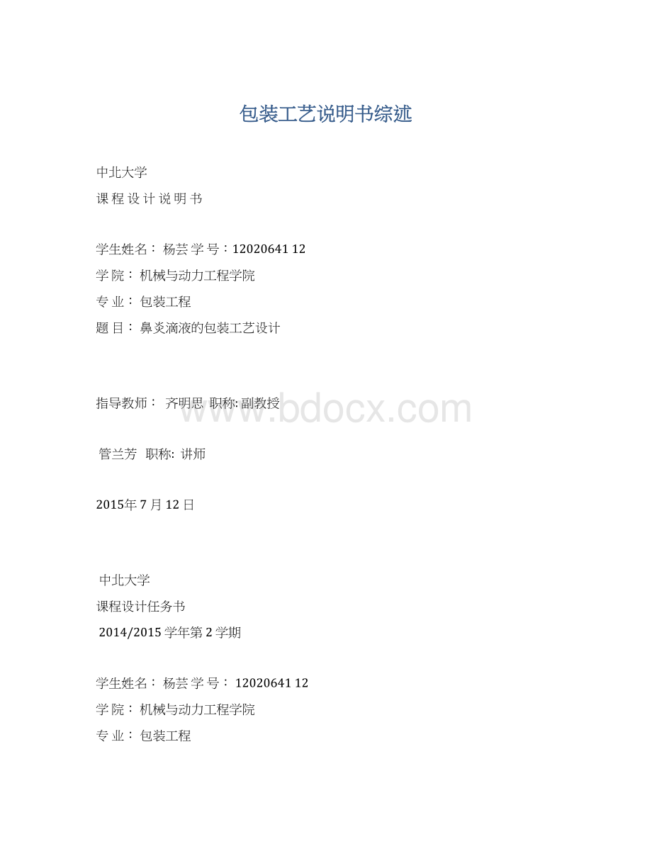 包装工艺说明书综述文档格式.docx