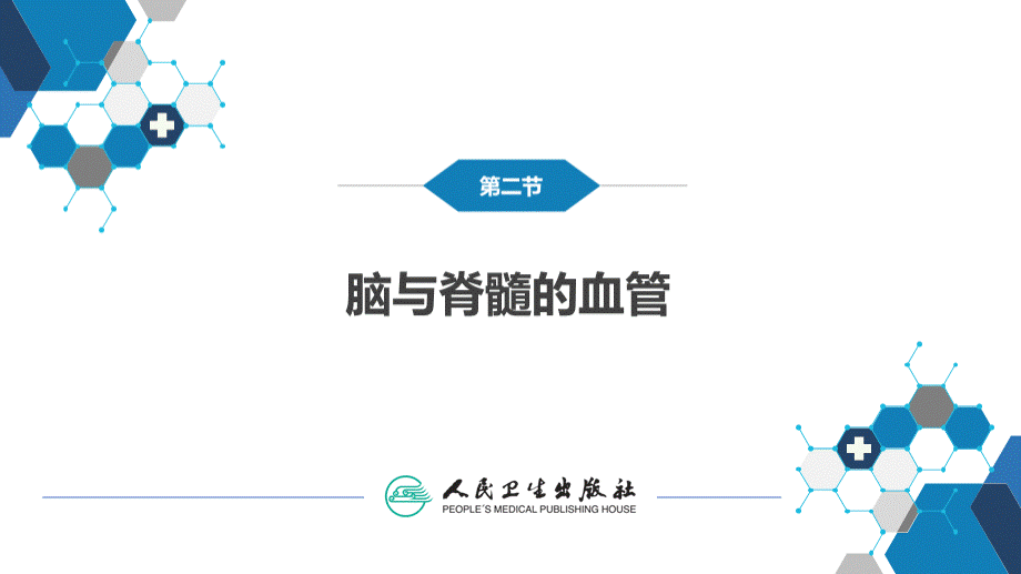 神经系统的解剖、生理及病损的定位诊断PPT推荐.pptx_第3页