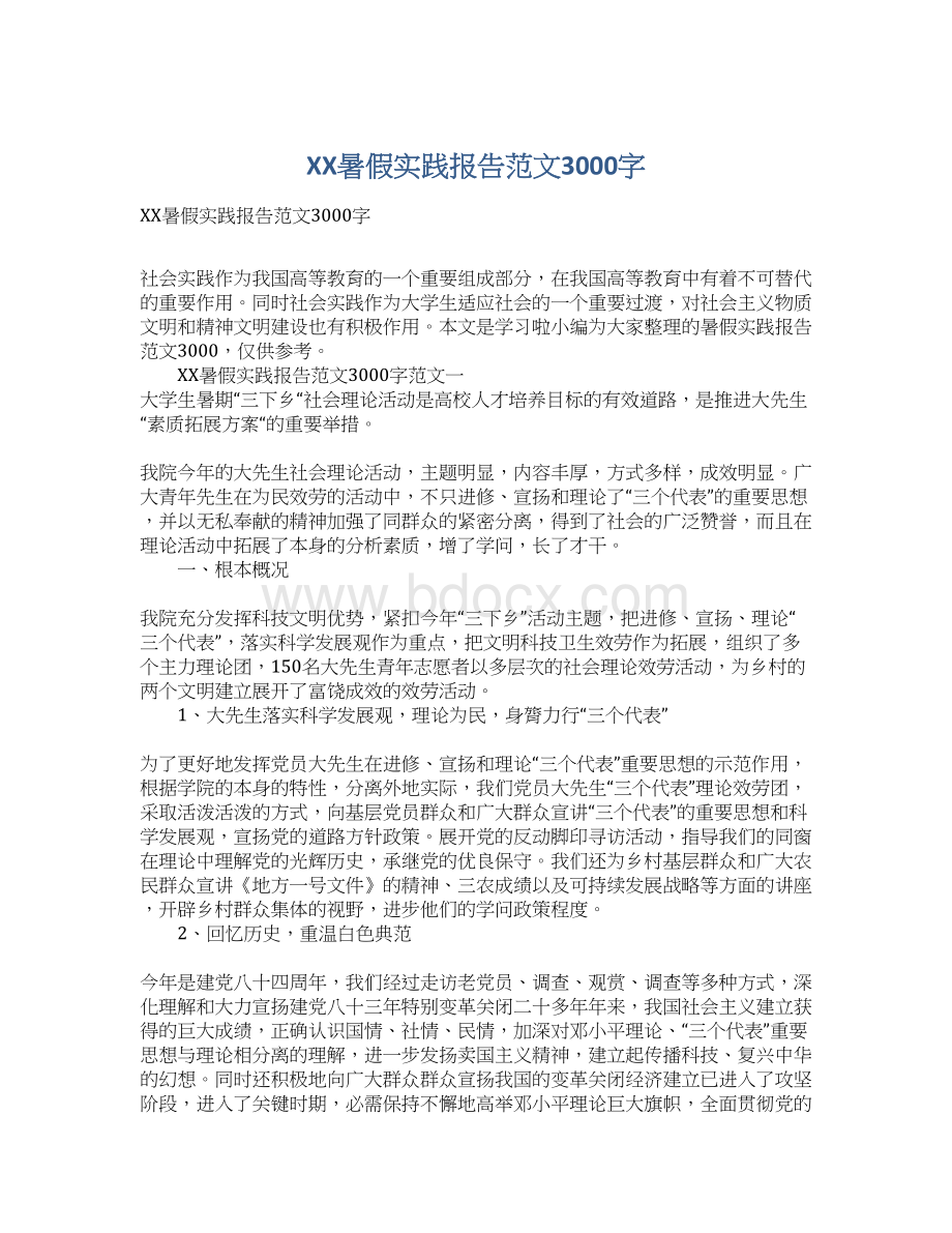 XX暑假实践报告范文3000字文档格式.docx