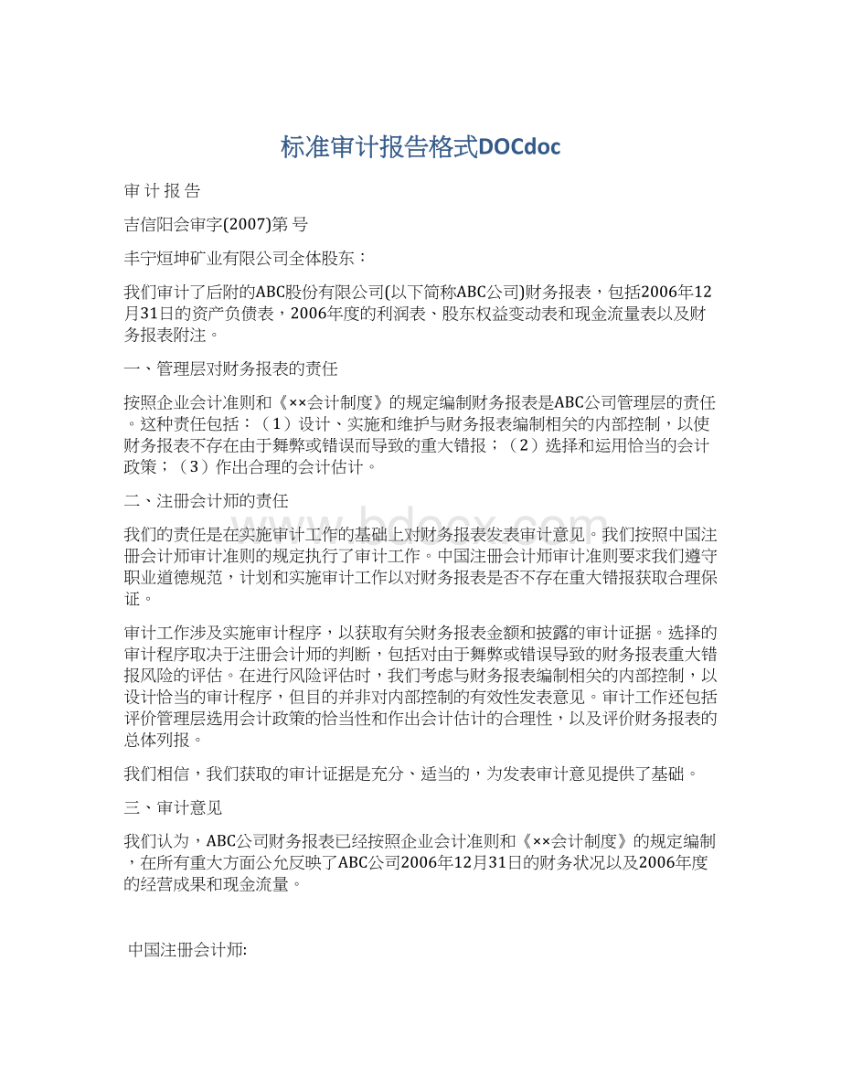 标准审计报告格式DOCdoc.docx_第1页