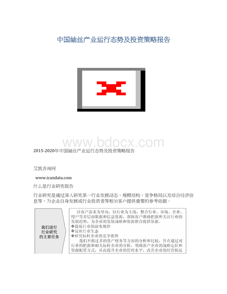 中国紬丝产业运行态势及投资策略报告Word文档下载推荐.docx