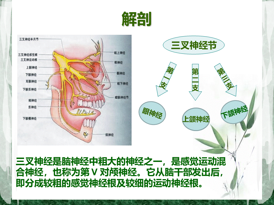 三叉神经痛护理.ppt_第3页